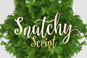 Snatchy Font Font Download