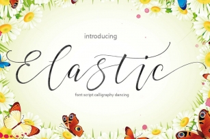 Elastic Font Font Download