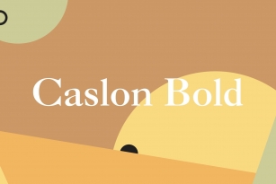 Caslon Bold Font Font Download