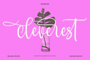 Cleverest Font Font Download