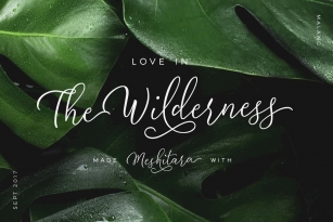 Meshitara Font Font Download