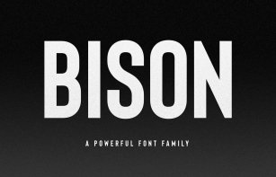 Bison Font Font Download