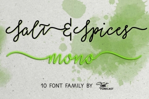 Salt  Spices Mono Font Font Download