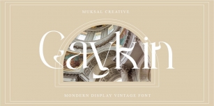 Gaykin Font Font Download