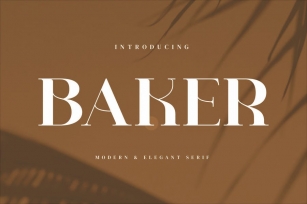 Baker - Stylish Serif Font Font Download