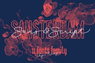 Sansterdam Font Font Download