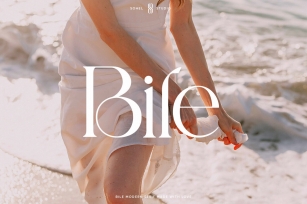 Bile Font Font Download