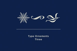 Design Type Embellishments 2 Font Download