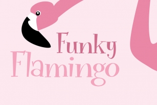 Funky Flamingo Font Font Download