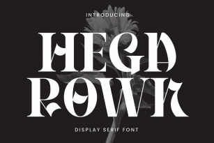 Hegarown Font Font Download