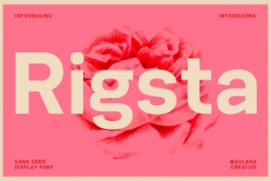 Rigsta Font Font Download