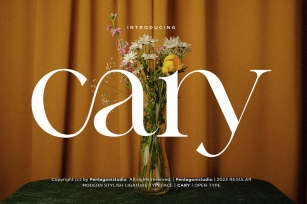 Cary Font Font Download
