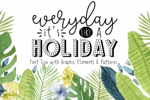 HITS Holiday Package Font Font Download