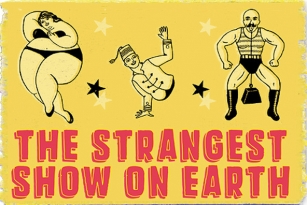 Mixed Breed Font Font Download