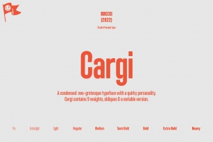 Cargi Font Font Download