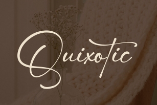 Quixotic Font Font Download