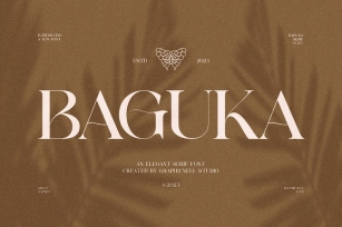 Baguka Elegant Serif Font Typeface Font Download