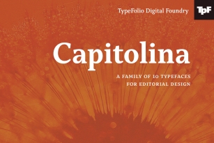 Capitolina Font Font Download