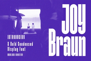 Joy Braun Font Font Download