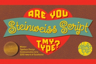 The Steinweiss Script Family Font Font Download