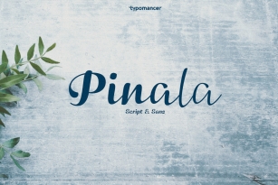 Pinala Font Font Download