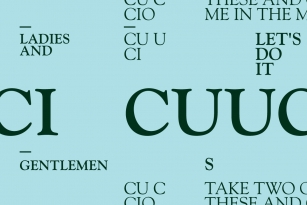 Goudy Old Style DT Font Font Download