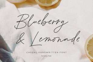 Blueberry and Lemonade Font Font Download