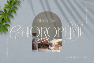 Chlorophyll Typeface Font Download