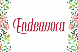 Endeavora Font Font Download