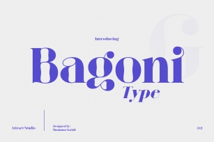 Bagoni Type Font Font Download