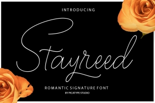 Stayreed Font Font Download