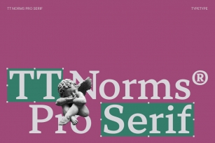 TT NormsÂ Pro Serif Font Font Download
