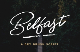 Belfast A Dry Brush Script Font Font Download