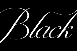 Penna Font Font Download