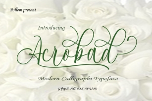 Acrobad Script Font Font Download