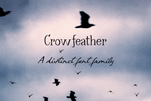 Crowfeather Font Font Download