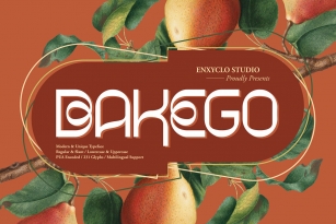 Bakego Font Font Download