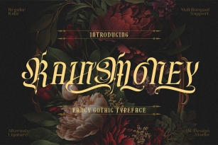 Rain Money Font Font Download
