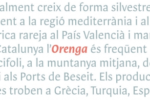 Orenga Font Font Download