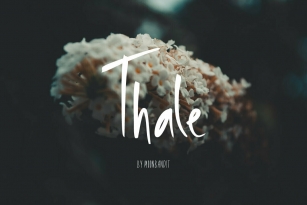 Thale Font Font Download