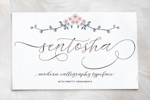 Sentosha Script Font Font Download