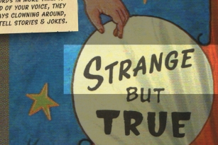 Sideshow Font Font Download