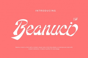 Beanuci Font Font Download