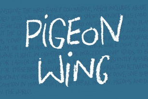 Pigeon Wing Font Font Download
