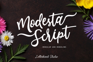 Modesta Script Font Font Download