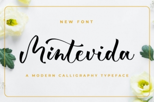Mintevida - Wedding Font Font Download