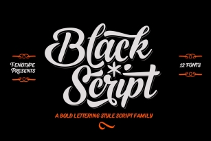 Black Script Font Font Download