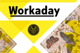 Workaday Font Font Download