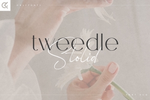 Tweedle and Stolid Font Font Download