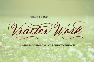 Vracter Work Font Font Download